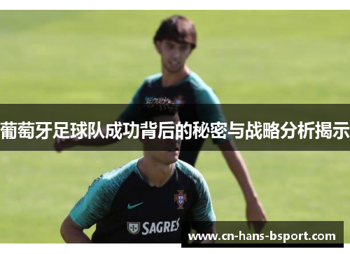 葡萄牙足球队成功背后的秘密与战略分析揭示