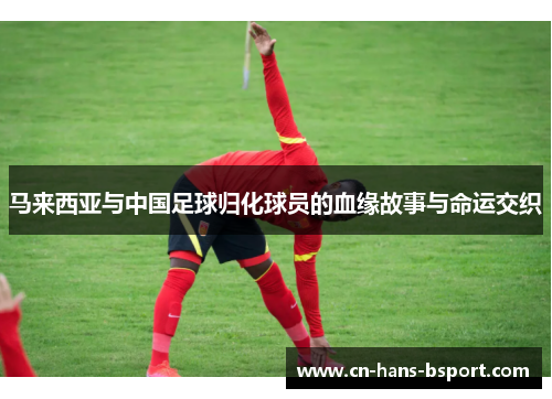 马来西亚与中国足球归化球员的血缘故事与命运交织 马来西亚与中国足球归化球员的血缘故事与命运交织